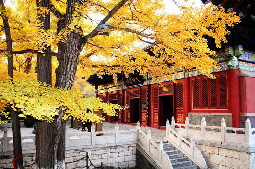 青龍峽踏青、紅螺寺賞紅