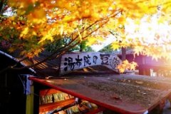 東京五日自由行 國際五星級(jí)航空NH直飛